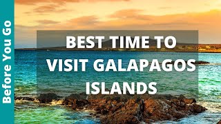 When is the Best Time to Visit the Galapagos Islands?