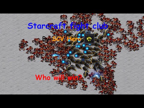 Can 60 Reavers beat 160 Ultralisks?