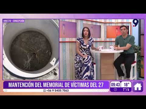 Deplorable estado del memorial de víctimas del 27F en Concepción