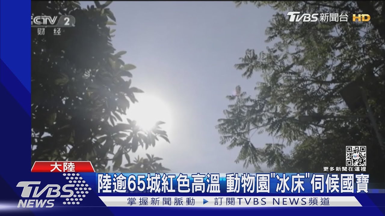 不堪高溫膨脹 福建橋梁路面爆裂拱起