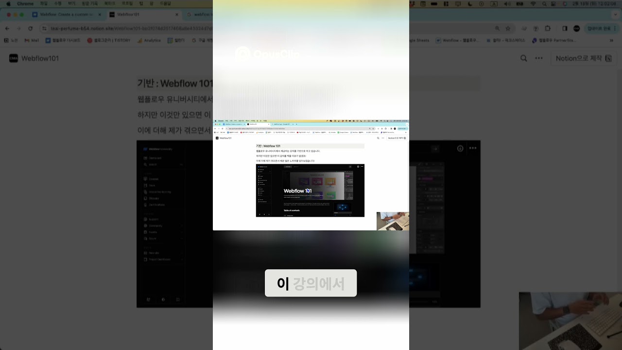 웹플로우, 한국 사용자를 위한 완벽 가이드  꿀팁 대방출! #노코드 #nft #개발자교육