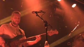 CARBON LEAF  -Shine-