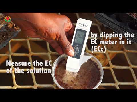 Moisture Meter