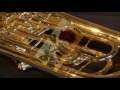 Illinois Jacquet All Stars - Don't Blame Me