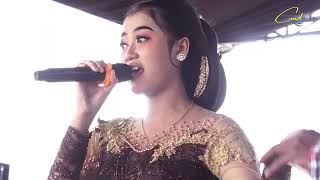 Download lagu NANDA SARI - KEMBANG PROBOLINGGO - CAKRAWALA MUSIC DIGITAL mp3 Download lagu NANDA SARI - KEMBANG PROBOLINGGO - CAKRAWALA MUSIC DIGITAL mp3