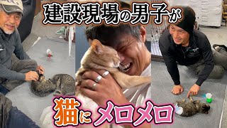 猫のおかげでコミュニケーションが増えた建設現場