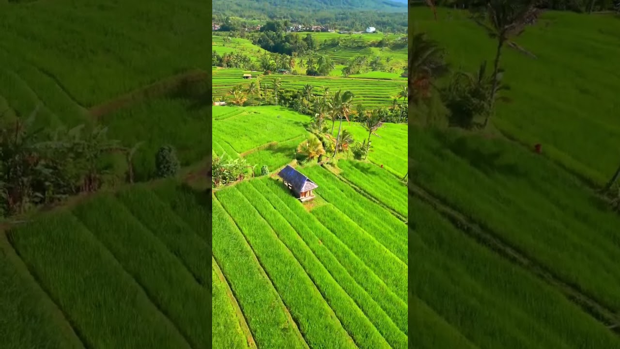 YouTube Short thumbnail