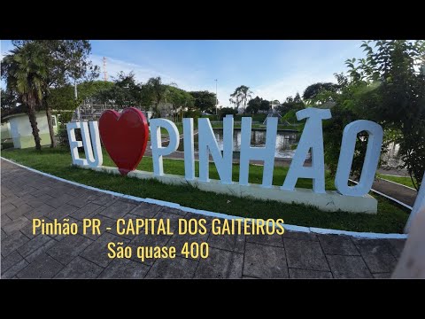 Homenagem ao Pinhão (Dari Duarte) – Capital dos Gaiteiros do Paraná  ► Tributo Musical joaoparaiba