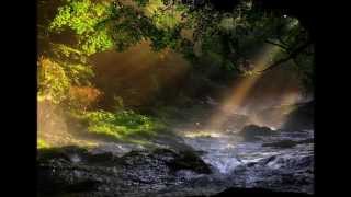 Pardon My Heart-Neil Young