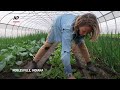 Small farmers adapt to increase in spring rains - Video