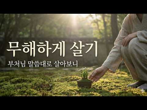 무해하게 살기 | 부처님 말씀대로 살아보니