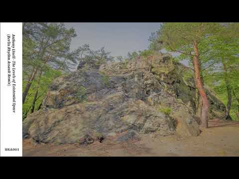 Anthony Linell - The Levels of Existential Space (Berlin Rhythm Assault Remix) [BRA001]