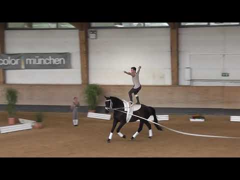 Bayerische Meisterschaften 2019 - Voltigieren- Luca Cherubini