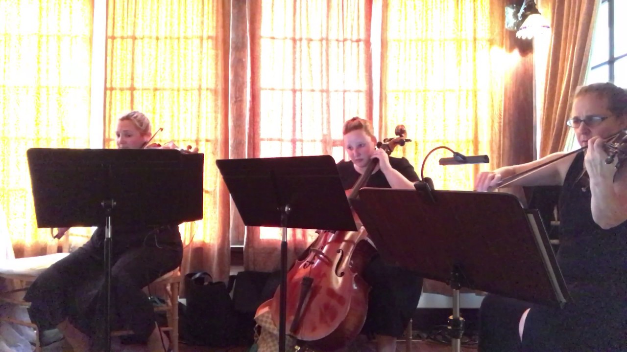 Promotional video thumbnail 4 for Ceremonious Strings LLC 