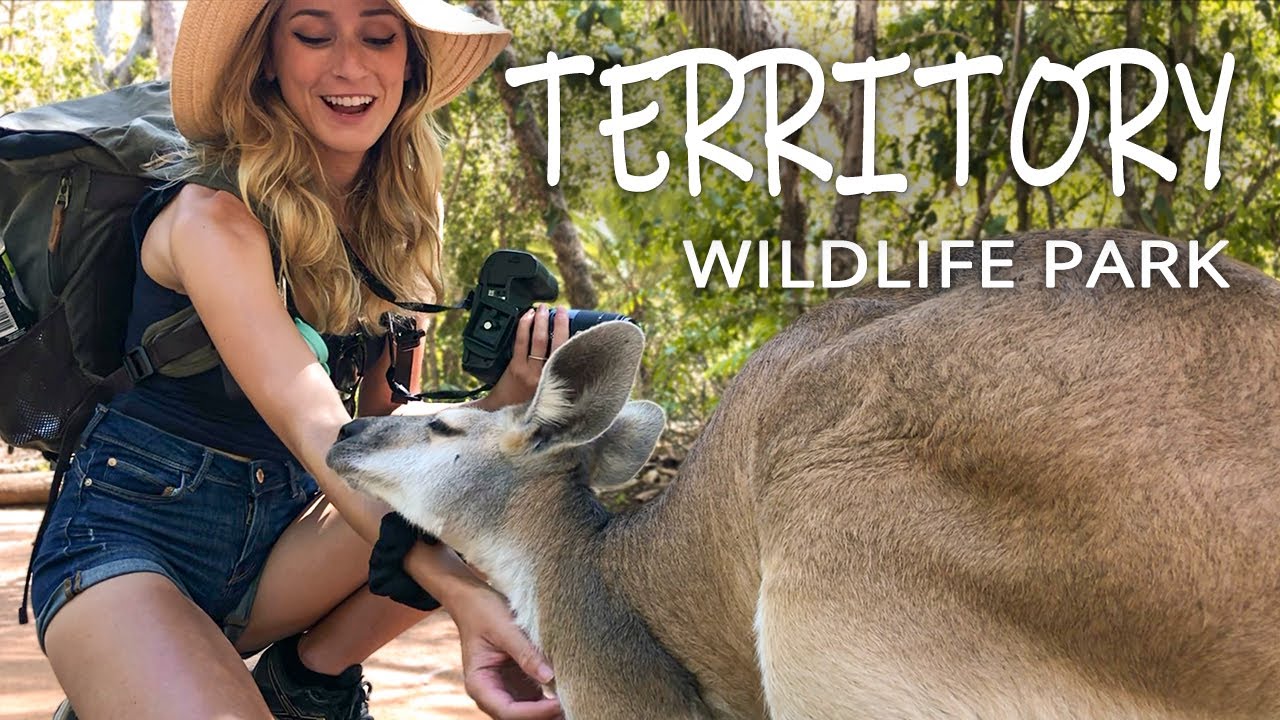 Experience an immersive tour of Territory Wildlife Park.