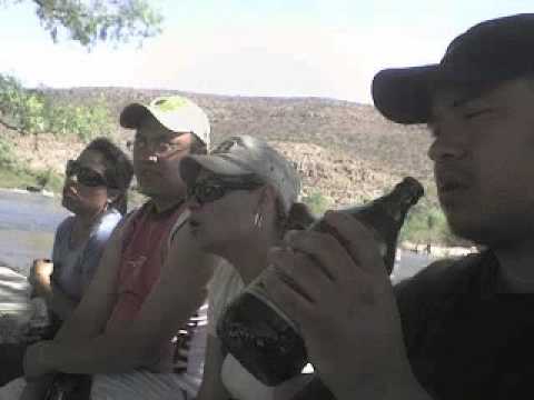 Kamphiones - LTJ Xperience - Superwig