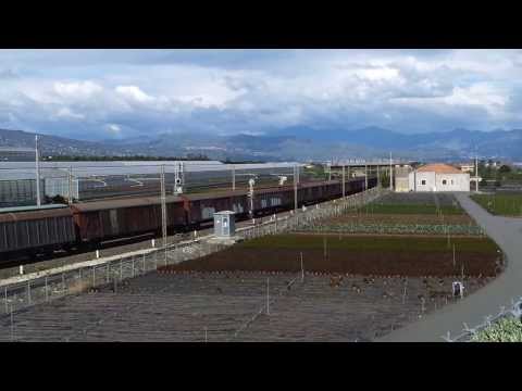 Affrontando la rampa di Carruba l'istancabile E655 298 traina il pesante merci 58151