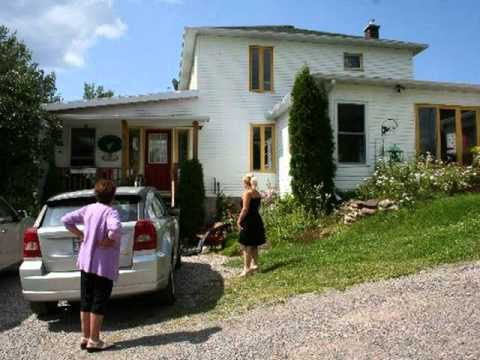 Lloyd Snow----Flat Top Gibson Guitar