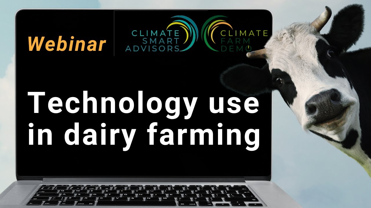 Efficiency through innovation - Technology use in dairy farming