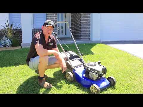 Lawn Mowing Height