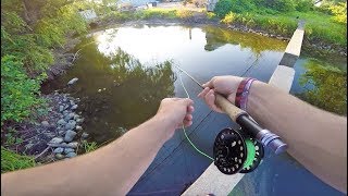 The Best Way to Find NEW Fishing Spots and Catch Fish!