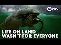 Our Ancient Relative That Said No Thanks To Land