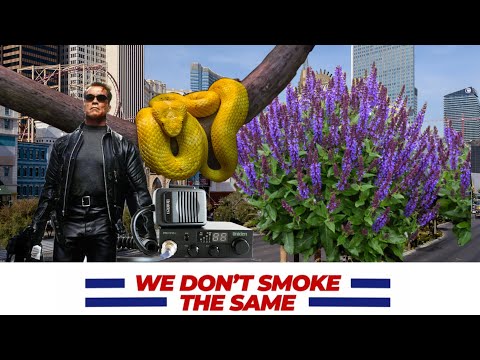 We Don't TERMINATOR the Same