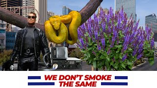 We Don't TERMINATOR the Same