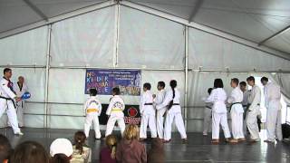 preview picture of video 'Nökiss 2012 Taekwondo Demo'