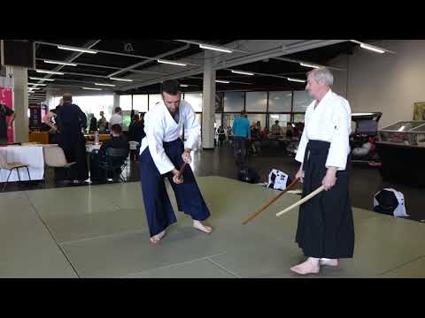 Metz Torii Gilbert Wakizashi Demo 3