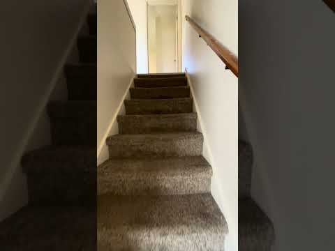 329 - 331 Murray Street - Video 2 of 2