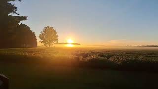 Sunrise 🌞