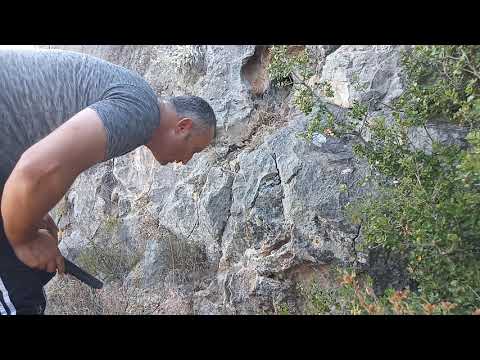 Kaya Define Kasasından Altın Paralar Çıkardım !!!