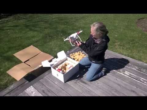 First Flight  - Phantom Vision +