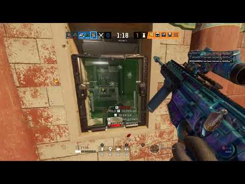 Siege - Osa Bug