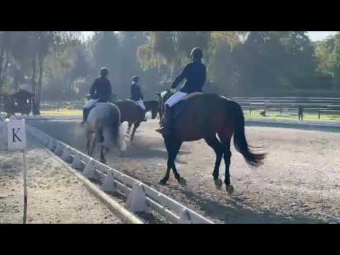 ZKV Weekend 2021 - KRV Bolligen 3er Zügli Dressur