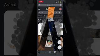 😼Confuse your lazy Cat #googlecat #youtube #ytshorts