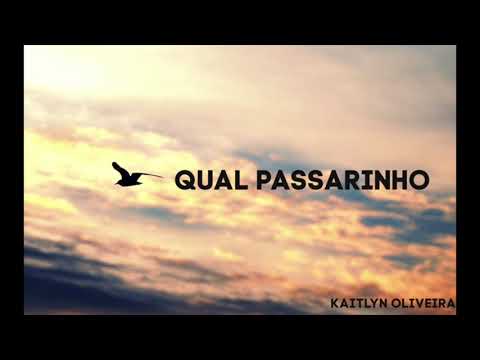 Qual Passarinho CCB - Kaitlyn Oliveira
