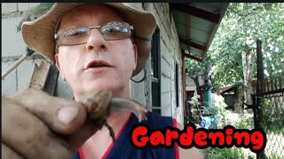 1, How To Garden, The Flower Pot Man