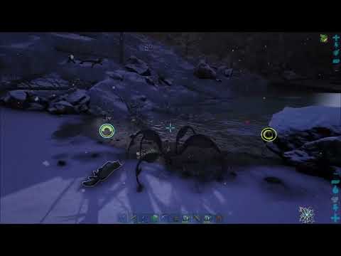 How To Tame A Direwolf In Ark