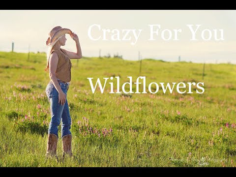 Música Modern Country: Crazy for You - Wildflowers