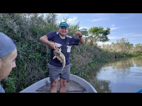 Mucha Pesca ,en Sauce Viejo.