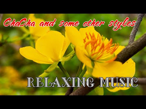 Relaxing music, ChaCha and some other styles, Beautiful melody bring peace and beautify your soul