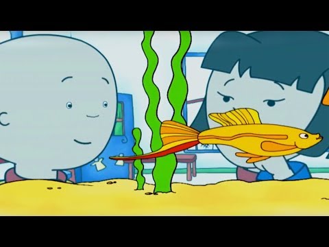 Caillou | Caillou en Aquarium | Nieuwe Hele Caillou Afleveringen | Nederlands Gesproken