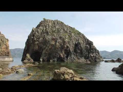 須崎海岸 Suzaki Coast（四国西予ジオパーク）