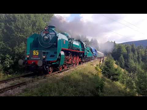 Z trate: Oslavy 85 narodenín trate Margecany - Červená Skala na Telgártskom Viadukte (4.9.2021)