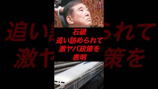 石破首相、追い詰められて激ヤバ政策を表明 #政治 #税金 #自民党 #石破 #財務省