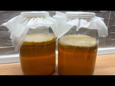 Kombucha příprava a druhy (Jun, Red Rumi, Černý čaj)