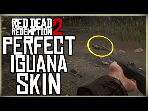 HOW TO GET A PERFECT IGUANA SKIN - RED DEAD REDEMPTION 2 PRISTINE IGUANA HUNT