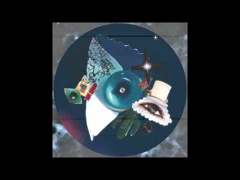 Mathias Kaden feat. Zoë Xenia - Blackbird (Ian Pooley Pooley's Main Remix)